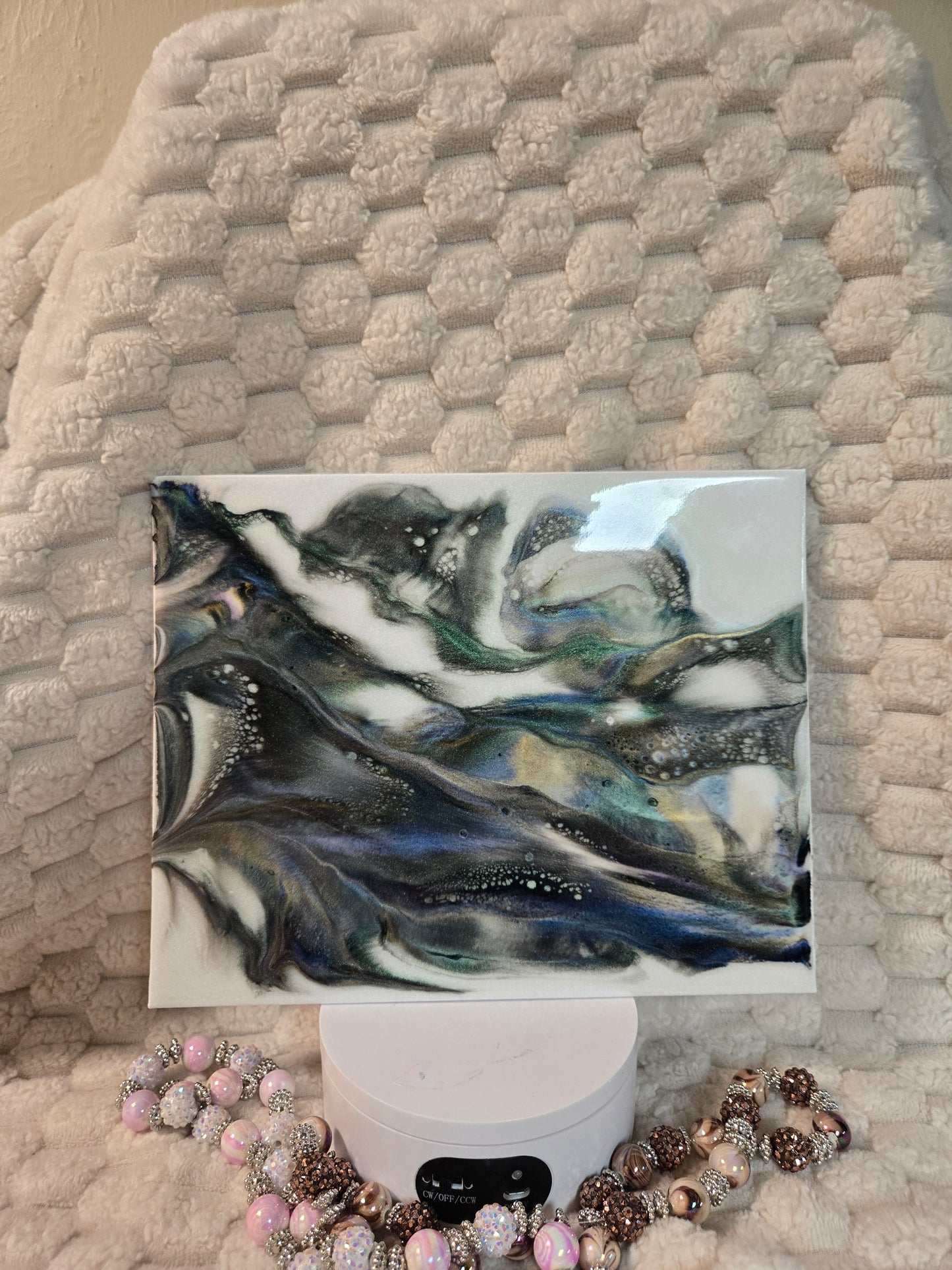 #35 8x10 Abalone canvas